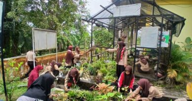 Persiapan Menuju Adiwiyata Mandiri, Tim Kohati MAN Labuhanbatu Benahi Green House